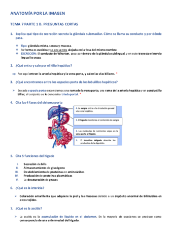 APLI-TEMA-7-PARTE-1-B.pdf