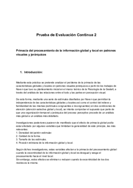PEC 2 Percepción.pdf