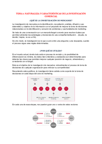 TEMARIO-COMPLETO-INVESTIGACION-DE-MERCADOS.pdf