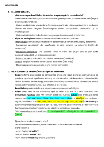 MORFOLOGIA-Y-SINTAXIS.pdf