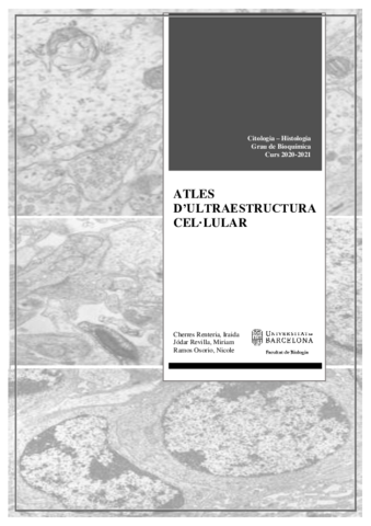 ATLES-CITO-HISTO.pdf