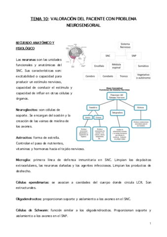 Tema-10.pdf