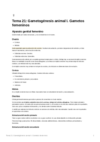 Tema21GametognesisanimalI.pdf