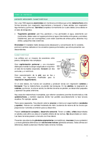 ANFIBIOS.pdf