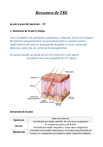 Resumen-TBE-t2.pdf