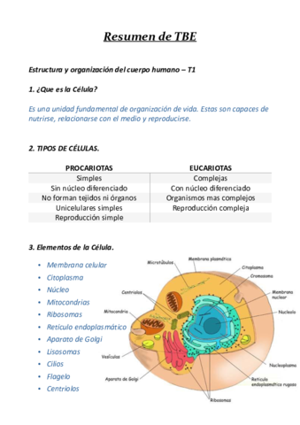 Resumen-TBE-t1.pdf