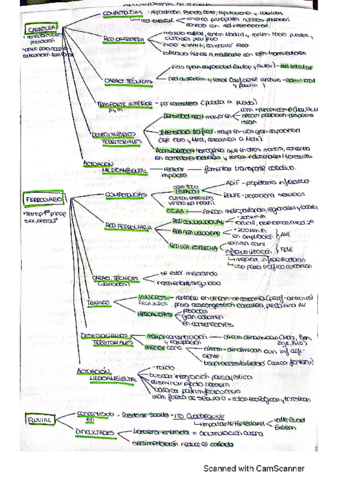 Esquema-modos-de-transporte.pdf
