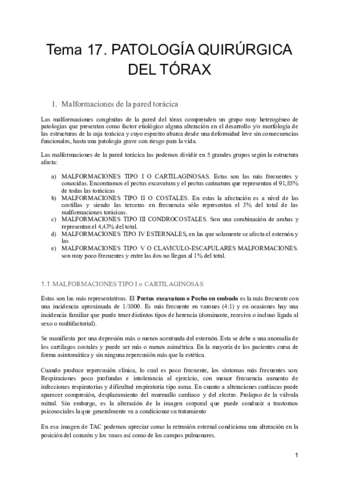 Tema-17.pdf