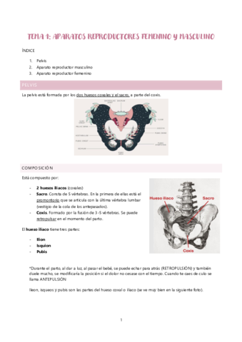 Tema-1.pdf