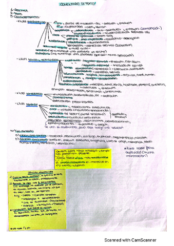 Comentario-de-texto-y-opinion-argumentad.pdf