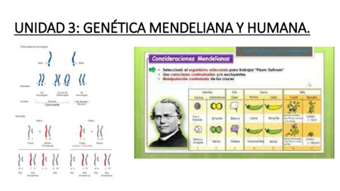 UNIDAD-3-GENETICA-MENDELNIA-Y-HUMANA.pdf