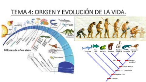 TEMA-4-LA-EVOLUCION.pdf