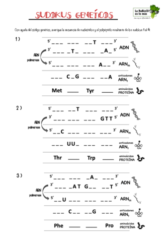 sudokus-geneticos-RuBisCO.pdf