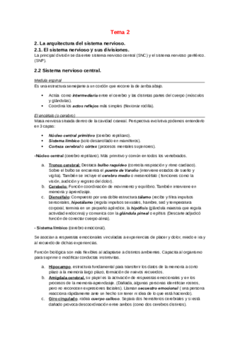 Sistema-nervioso.pdf