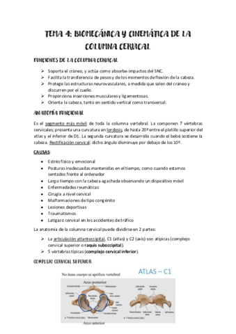BIOMECANICA-TEMA-4.pdf