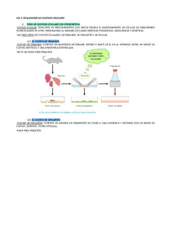 TEMA-2-RESUMEN-APUNTES.pdf