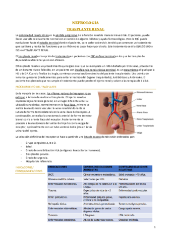 TRASPLANTE-RENAL.pdf