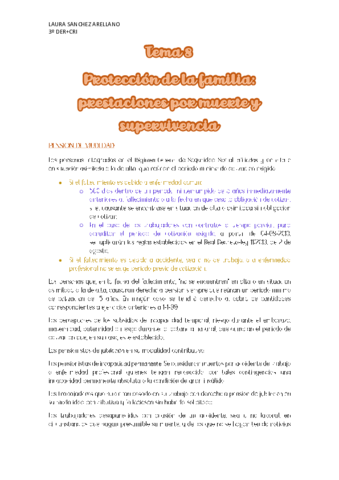 TEMA-8.pdf