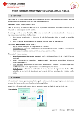 T13-Clinica-II.pdf