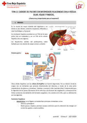 T15-ClinicaII.pdf