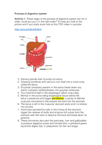 Process-of-the-Digestive-System.pdf