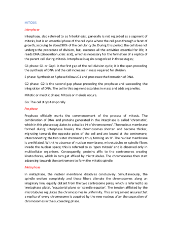 Mitosis-Notes.pdf