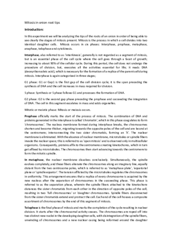 Lab-report.pdf