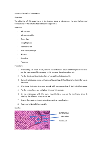 Onion-epidermal-cell-observation.pdf