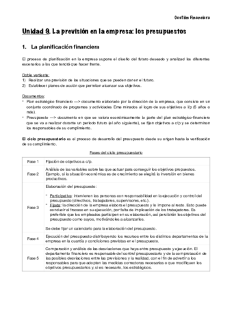 UD-9-Financiera.pdf