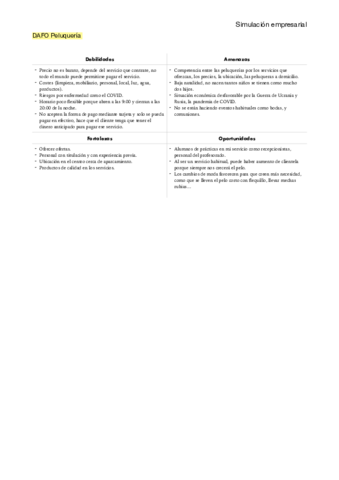 DAFO-peluqueria-.pdf