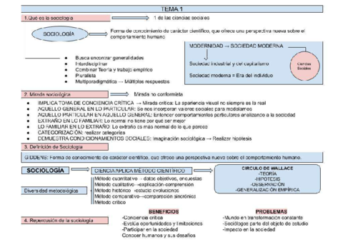Sociologia-esquemas-resumen-EXAMEN.pdf