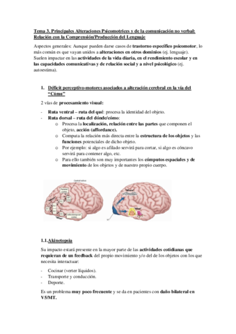 Tema-3-psicomotricidad.pdf