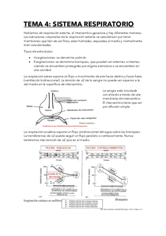 respiratorio.pdf