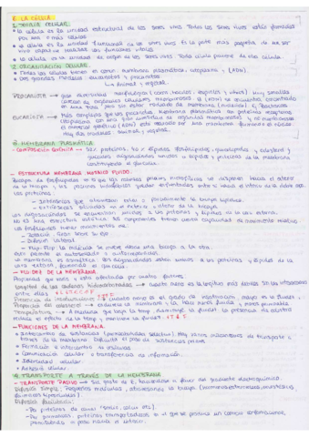 CELULA.pdf