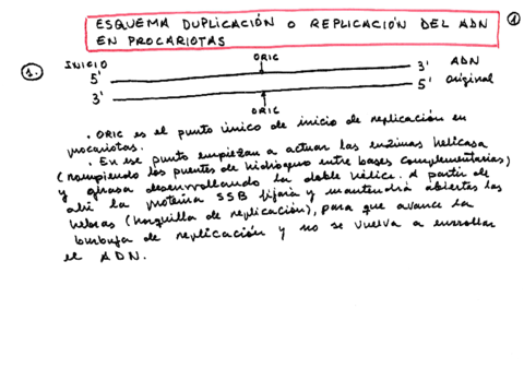 Tema-1-Tercer-trimestre.pdf