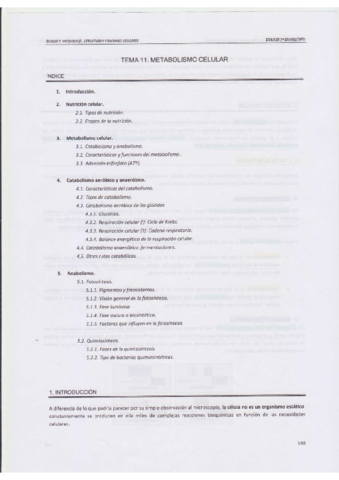 METABOLISMO-1-.pdf