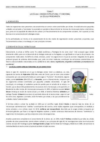 TEMA7.pdf