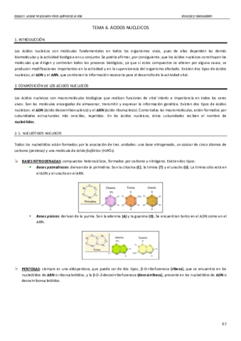 TEMA-6-ACIDOS-NUCLEICOS.pdf