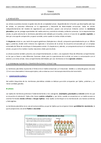 TEMA-8.pdf