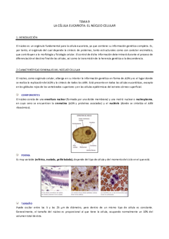TEMA9.pdf
