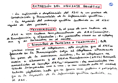 Tema-2.pdf