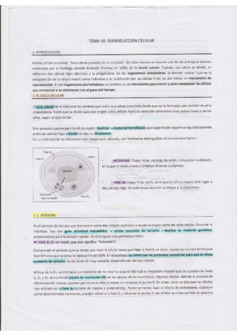 TEMA-10-.pdf