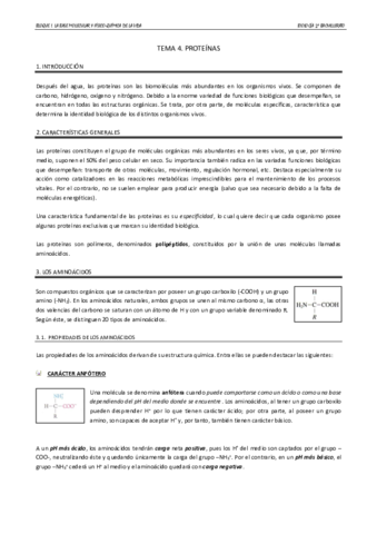 TEMA4.pdf