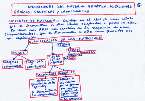 Tema-3-Genetica-molecular.pdf