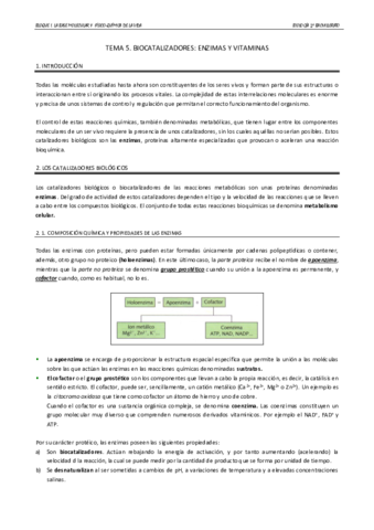 TEMA-5.pdf