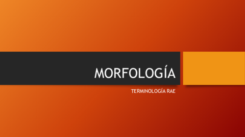 MORFOLOGIA-VERBOS.pdf