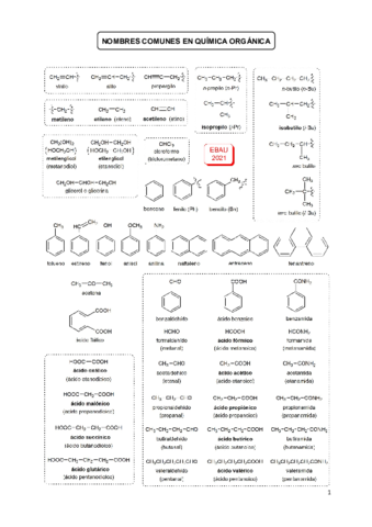 Teoria-sintesis-e-isomeros-actualizada.pdf
