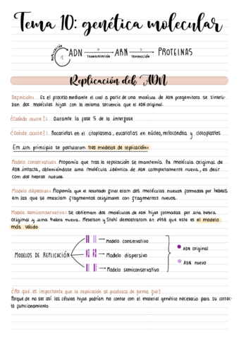 GENETICA-MOLECULAR-.pdf