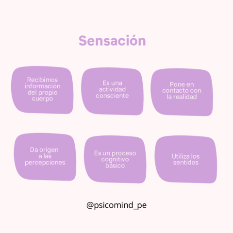 1Sensacion.pdf