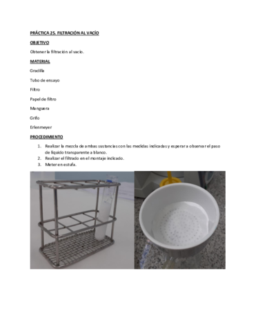 Filtrado-al-vacio-y-pigmentacion.pdf